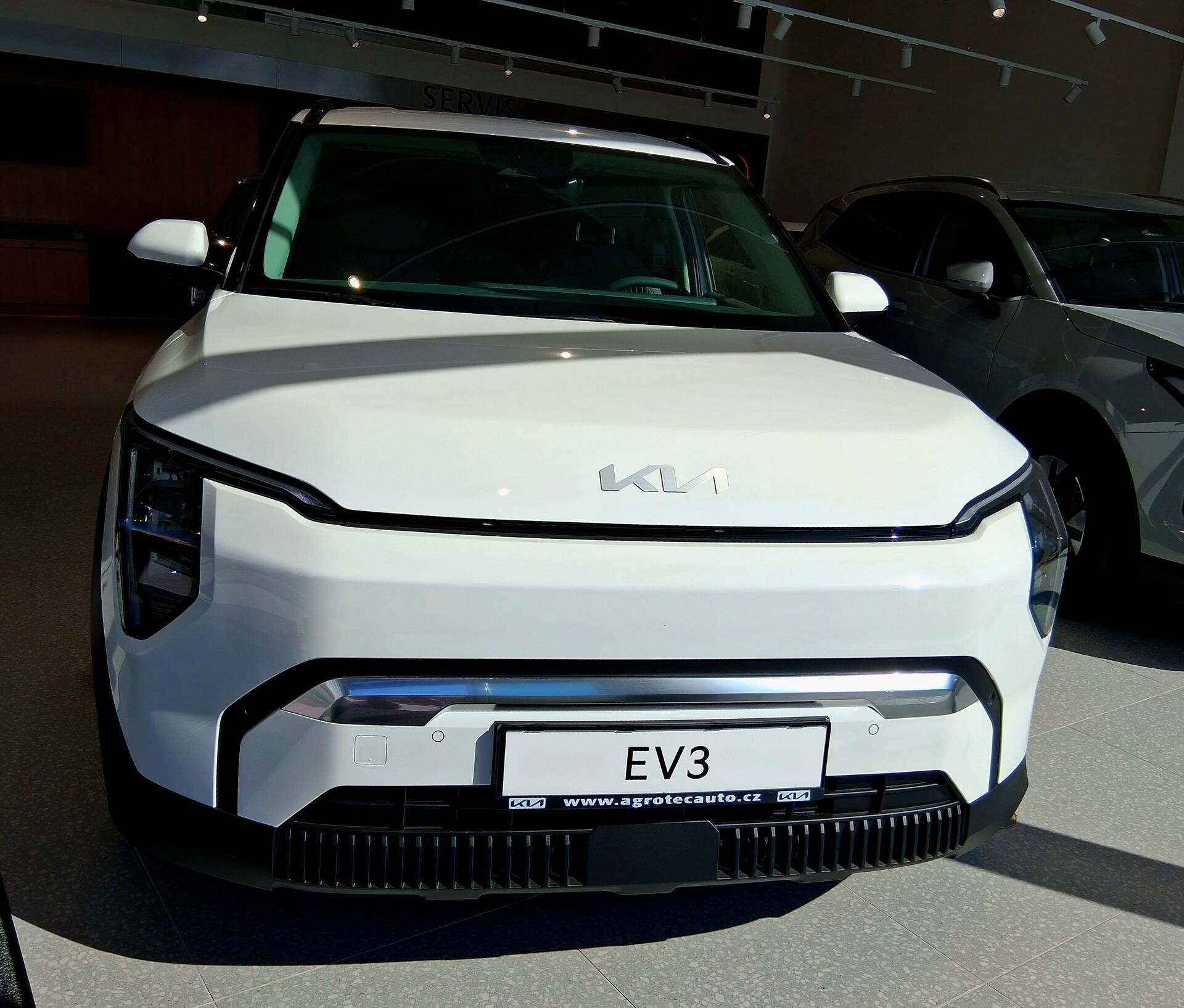 Kia EV3 EV 150 kW EARTH